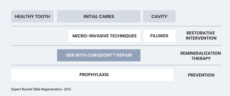 Guided Enamel Remineralization